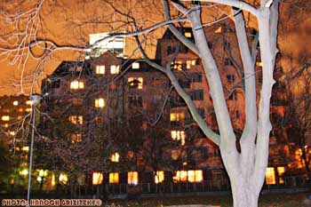 IMG_ (10622)